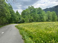 Col du Glandon