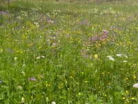 Col du Glandon
