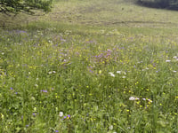 Col du Glandon
