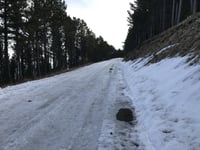 Mont Ventoux z Malaucène