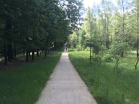 Lierderholt über Oostweg