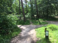 Ramenberg da Loenen