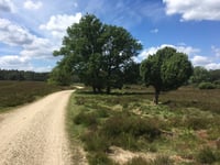 Ramenberg da Loenen