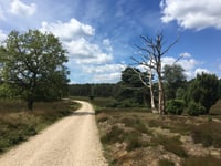 Ramenberg da Loenen