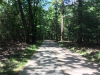 Krimweg von Beekbergen