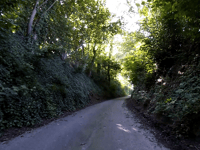 Schophemerheide von 's Gravenvoeren
