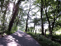 Schophemerheide von 's Gravenvoeren
