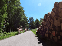 Rennweg von Schevenhütte