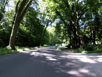 Aachener Wald über Eberburgweg