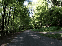 Aachener Wald über Eberburgweg