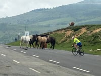 Hautacam / Col de Tramassel