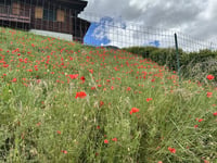 Cormet de Roselend da Bourg-Saint-Maurice