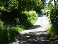 Bois de Herve von Hubertfays