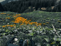 Rifugio Cinque Torri