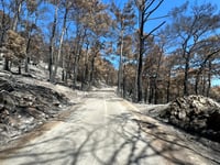 Profitis Ilias via Salakos