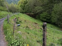 Auzolles von Velzic über Route du Coyan