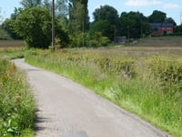 Bois de Rechain da Grand-Rechain