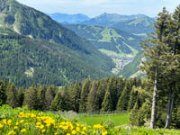 Col de la Joux Verte / Avoriaz from Montriond