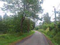Côte de Forêt