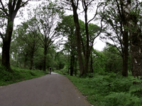 Snippendaalseweg
