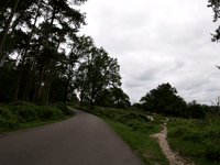 Snippendaalseweg