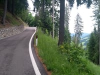 Monte Mariol / Mariolberg from Santa Valburga / Sankt Walburg