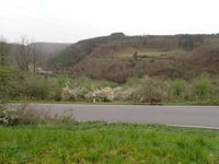 Alscheid z Kautenbach