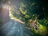 Chemin du Savat