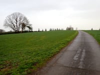 Kneiff