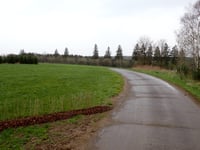 Kneiff