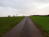 Kneiff