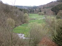 Haanenhaff von Sassel