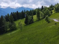 Boirolo depuis Tresivio
