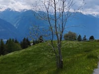 Boirolo depuis Tresivio
