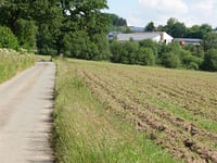 Malscheid