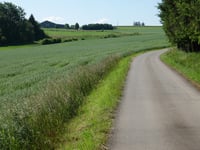 Weiswampach from Malscheid