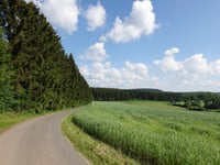 Weiswampach from Malscheid