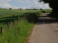 Beilerheide