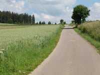 Beilerheide
