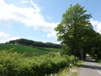 Beiler