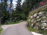 Taser Alm from Schenna / Scena
