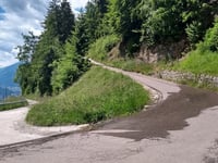 Taser Alm from Schenna / Scena