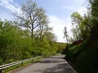 Côte de Bohan von Bohan sur Semois