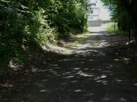 Kiricheneck
