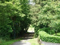 Kiricheneck