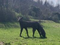 Colle Brianza von Dolzago