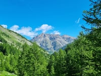 Col de la Cayolle from Barcelonnette