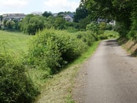 Hellgenheed über Schelsbaach