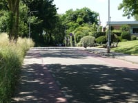 Boschweg über Pingerweg