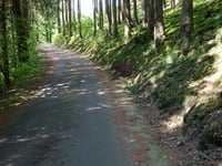 Trois Frontières via Schelsbaach